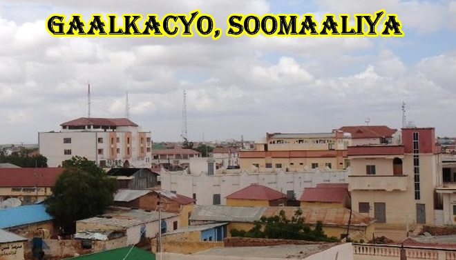 gaalkacyo