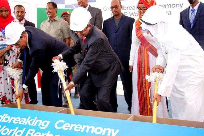 saylici dhagaxdhig berbera