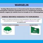 xisbiga midawga nabada iyo horumarka