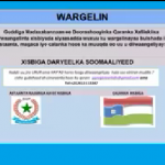 DARYEELKA SOMALIYED