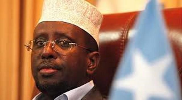 shekh shariif