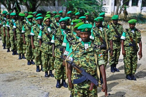 dil amisom