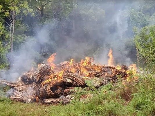 Dawladda Kenya oo Gubtey Kaluun Soomaaliya Laga Keenay Iyadoo Loogu Aar Gudayo Jaad La Gubay.