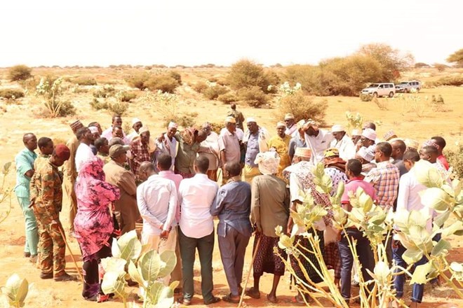 gmudug nabadeyn