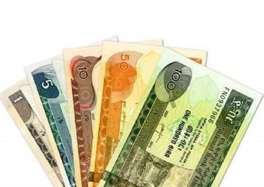 Gebi’ ahaan Waxaa La Joojiyey Isticmaalka Lacagta Birta Ethiopia oo Bangiyada Dalkaasi Dadweynaha U Qabteen Labo Todobaad.