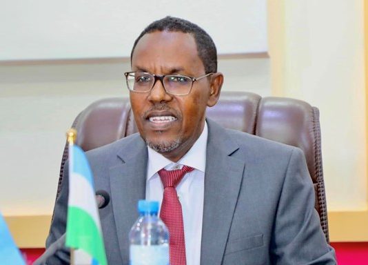 Wasiirkii Hore ee Maaliyadda Puntland Abgaal oo Abaabuley Maleyshiyaad kasoo horjeeda Doorashada Qof iyo Cod.