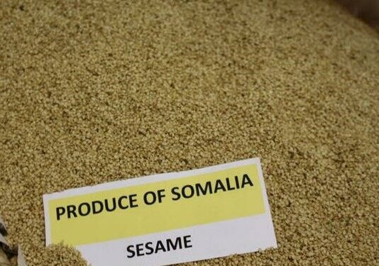Sanadkii 2021 oo Soomaaliya Ka Heshay $65000 Badeecadaha Loo Dhoofiyey Dalka Ruushka.