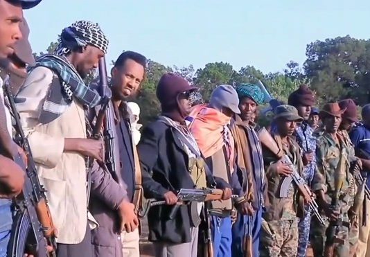 Jabhaddii Gashey Buurta Gacan Libaax ee Somaliland oo ka Hadashey Sababta ay u Dagaalamayaan.
