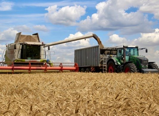 Canceled from Russia’s sorghum deal and charities express concern.