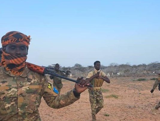Fariisimo ay Al-shabaab ku Lahaayeen Dhul Hawd ah oo Ciidamada Dawladdu Burburiyeen.
