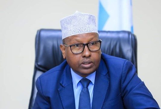 The Minister of Interior and Reconciliation, Ahmed Fiqi, who said that there are groups that wan’t Al-Shabaab to be removed from the country.