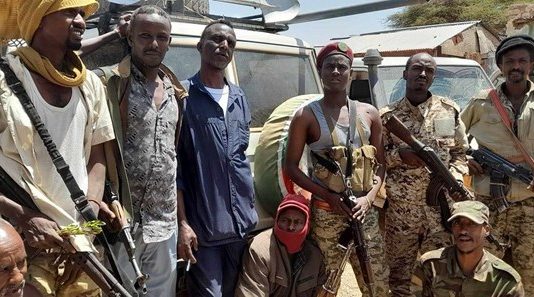 Jabhadda Buurta Gacan-libaax oo ku Gacan Sayrey Hub ka dhigis Loo Soo Jeediyey.