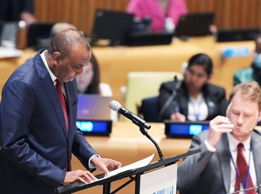 Prime Minister Hamze Abdi Barre made a speech at the United Nations General Assembly.