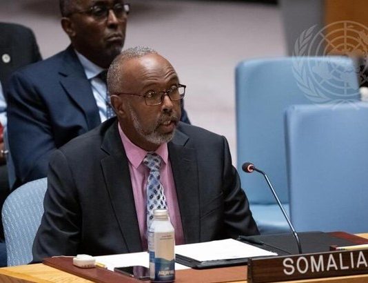 Somalia’s ambassador to the United Nations, Abukar Baalle, has requested that the arms embargo be lifted from his country, Somalia.