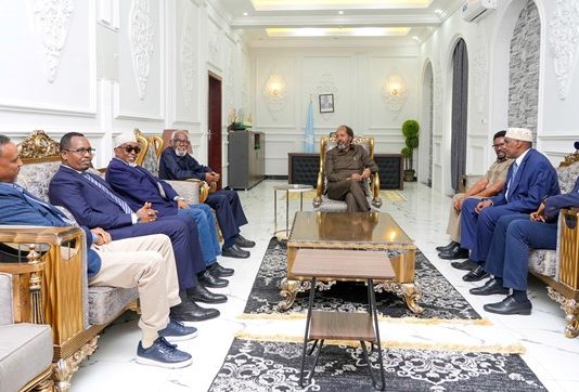 The South West opposition held a meeting with the President of the Federal Republic of Hassan Sh Dhusamareb.
