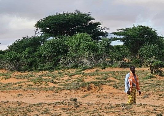 Sarkaal Hore Uga Tirsanaa Al-shabaab oo Ciidamada Dawladda Isu soo Dhiibey Degmada Xarardheere.