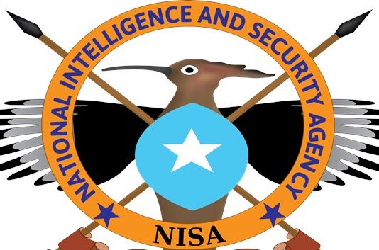 Website yadii ay Isticmaali Jireen Khawaarijta Al-shabaab oo Hay’adda NISA Sheegtay in Hawada Laga Saarey.