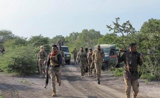 The forces of Jubaland and those of the Federal Government have killed many members of Al-Shabaab.
