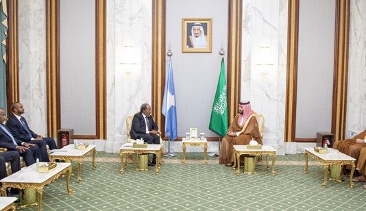 Dhaxal Sugaha Dalka Sucuudiga iyo Madaxweyne Xasan Sheekh oo Kulan Yeeshay.