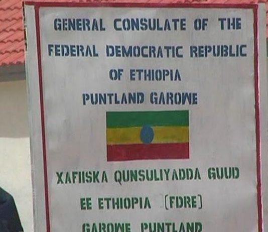 Go’aankii Dawladda Federalku ku Xirtay Qunsiliyadaha Ethiopia ee Puntland iyo Hargeysa oo aan Dhaqan gelin.