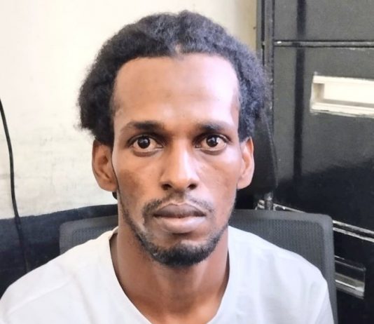Dawladda Dalka Kenya oo Sheegtay in ay Qabatey Xubin Sare Al-shabaab ah.