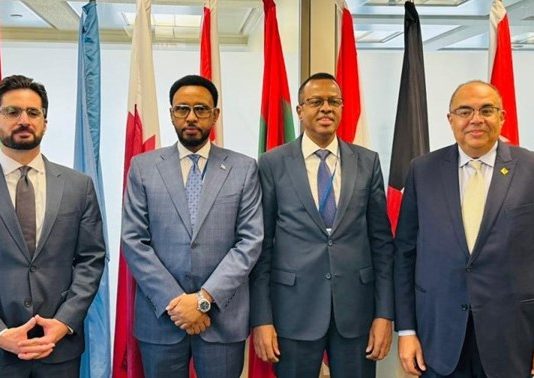 The First Review of Somalia’s Economy Concluded by the IMF Executive Committee.