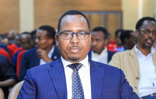La Taliyaha Arrimaha Dastuurka Madaxweyne Xasan Sheekh oo Weerar Afka ah Ku Qaadey Madaxweyne Saciid Deni.