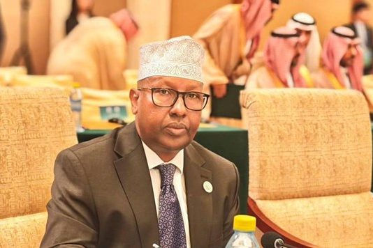 Madasha Iskaashiga Carabta iyo Shiinaha oo Wasiir Debedeedka Soomaaliya ka Qeyb Galey.
