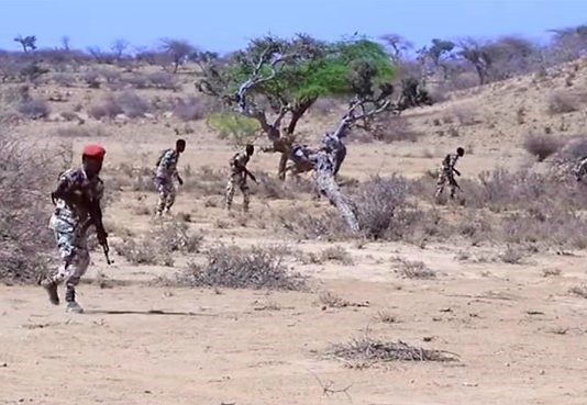 The Siti Region of the Somali Regional Government started a war between Somalis and Anfar.