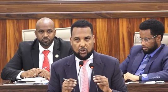 Daawo: Xildhibaan Sheegay in Loogu Hanjabey in Madaxa Laga Tooganayo oo Barlamaanka Hadal ka Jeediyey.