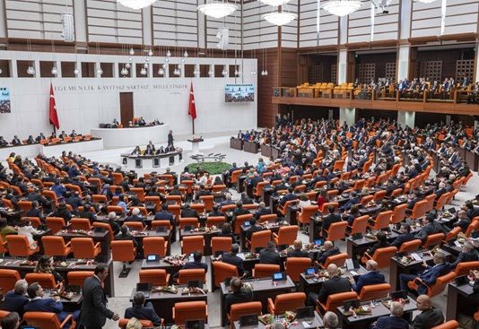 The decision to send Turkish troops to Somalia has been widely welcomed by the Federal Government.