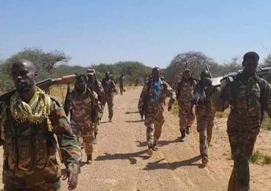 A checkpoint operation was carried out by the South West government forces in parts of the Lower Shabelle region.