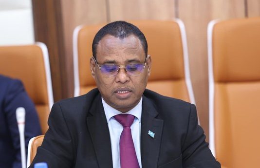 The Federal Ministry of Trade has imposed an order on remittance brokers.