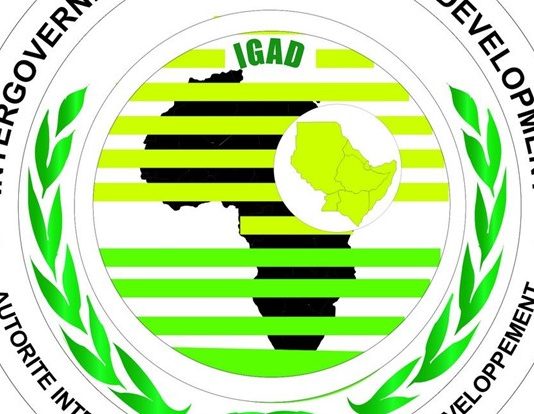 A delegation from the IGAD regional organization arrived in Mogadishu today.