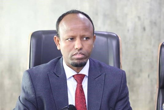The Ministers of Health of the Regional Governments and Banadir Region complained to the Federal Ministry of Health.