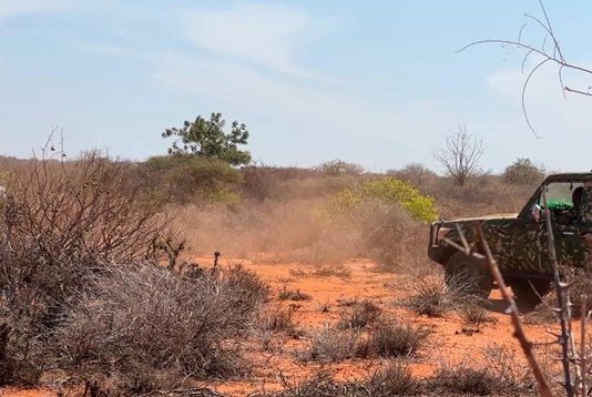 Gobolka Hiiraan oo Maanta Dagaal Culus Ka Dhacey iyo Al-shabaab Khasaaraha La Gaarsiiyey.