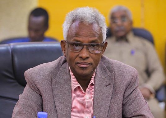 Maamulka Puntland oo Amarro Adag ku Soo Rogay Ajaaniibta sida Sharci darada ah ku soo gala Dalka si ay Daacish ugu biiraan.