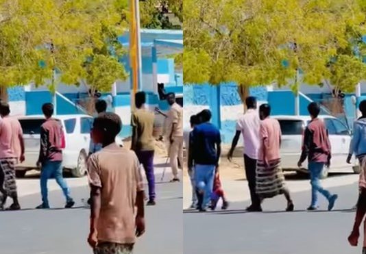 Ciidamada Amniga Maamulka Puntland oo Billaabay Qabqabshada Dadka Sharci Darada ku jooga Deegaanada Maamulkaas.