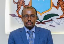 Lataliye Hore Amniga Qaranka Soomaaliya oo Puntland ku eedeeyey in Duulimaadyo Hub lagu geeyo Suudaan ay ka Baxaan Garoomadeeda.