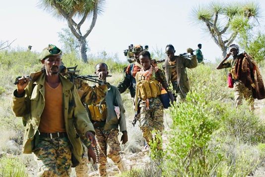 Puntland oo Sheegtay in ay Weerar Qorsheysan ku Qaadeen Meelo lagu Tuhmayey Kooxaha Argagixisada.
