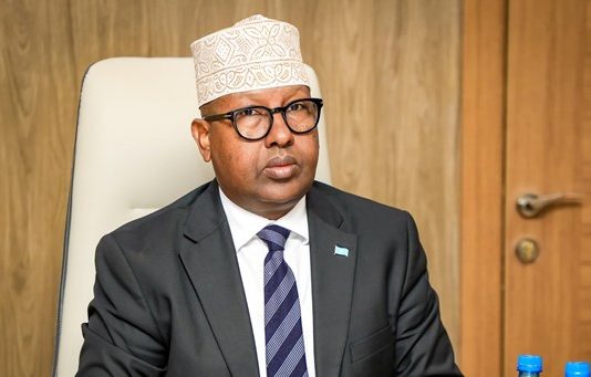 800 Isugu Jira Daacish iyo Al-shabaab oo Dawladda Federalku Sheegtay in Sanadkan la Dilay.
