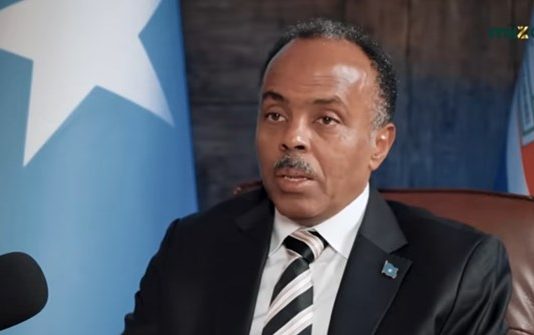 The Federal Government has said it will share revenue from e-visa with Somaliland.