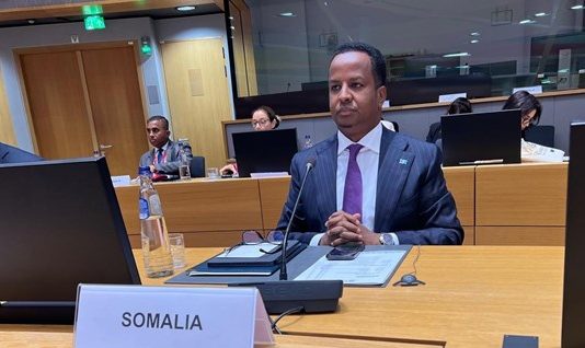 Xaqiijinta Amniga Marinbiyoodka Badaha oo Sooaaliya Sheegtay in ay ka Go’antahay Adkeyntiisa.