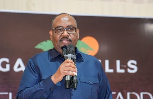 Madaxweyne Deni oo Sheegay in aan Loo Baahneyn Sida Loo Wajahey Rabshadihii ka Dhacay Boorame.
