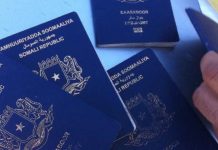 Masuuliyiinta Egypt Air iyo Dawladda Soomaaliya oo Beeniyey in Basaborka Soomaaliga Lagu Tagi karin Masar.