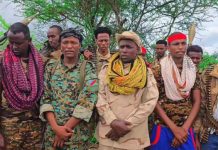 150 Maleyshiyaad iyo Gudoomiyihii Hore ee Awdiinle oo isku Soo Dhiibay Ciidamada Dawladda Soomaaliya.