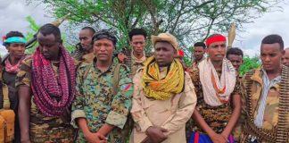 150 militiamen and the former governor of Awdinle surrender to Somali government forces.