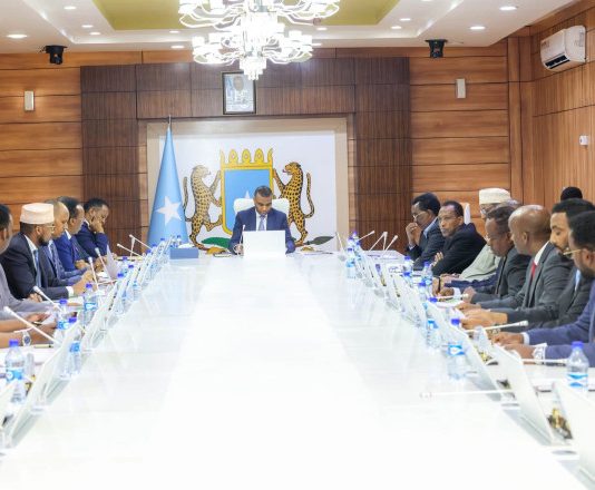 The Federal Government Council has appointed an interim chairman for the National Chamber of Commerce.