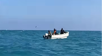 6 QOF