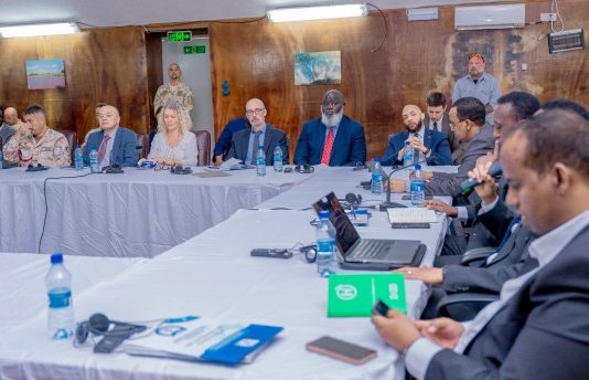 Governments Interested in Somalia Pledge Support for Somali Elections.